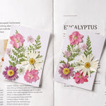fleurs séchées plantes écologiques intérieur anniversaire baby shower exposition minimalistes cartes postales ornementales fixations