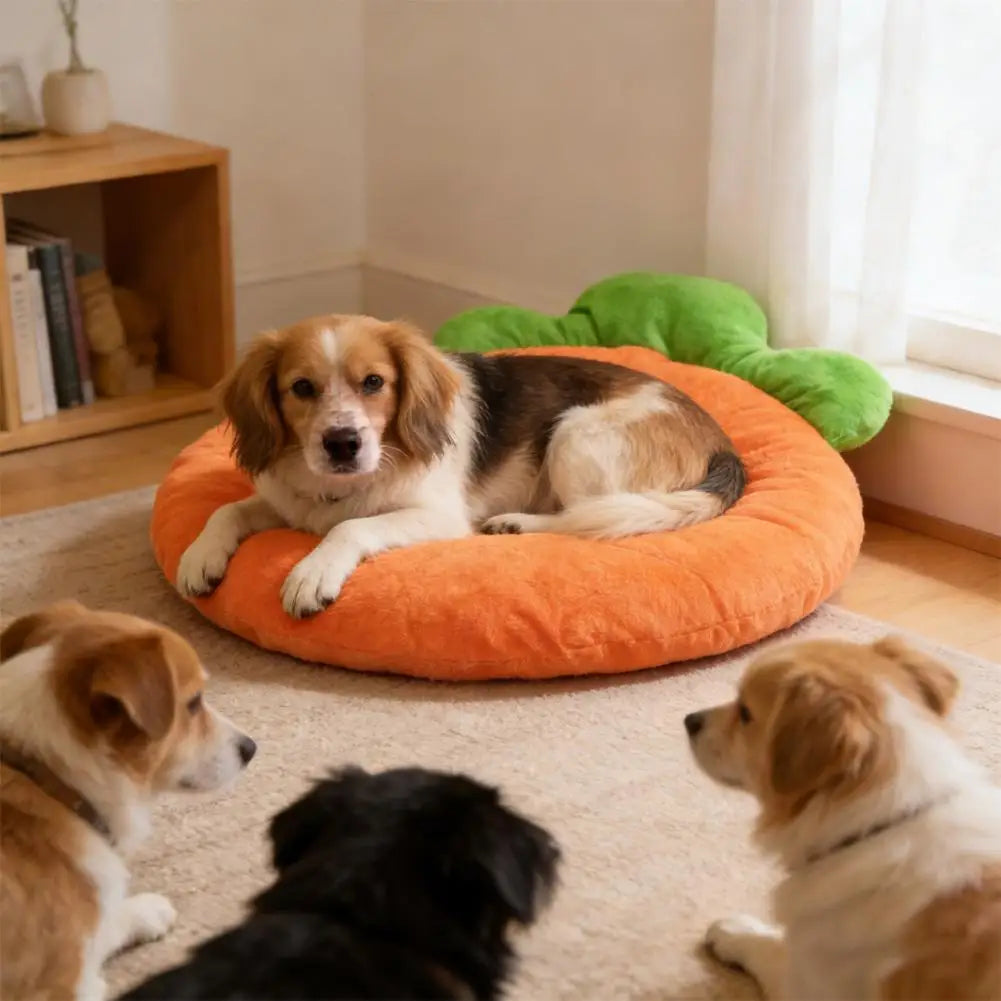 tapis animal compagnie forme carotte doux orange vert ludique décoration poilu
