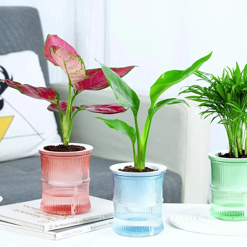 pot plantes moderne bleu vert rose rayures horizontales autoarrosant plante