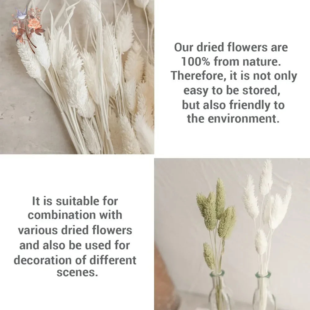 bouquet fleurs séchées blanc naturel rustique décoration intérieure anniversaire mariage pendaison crémaillère anneaux métalliques