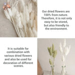 bouquet fleurs séchées blanc naturel rustique décoration intérieure anniversaire mariage pendaison crémaillère anneaux métalliques