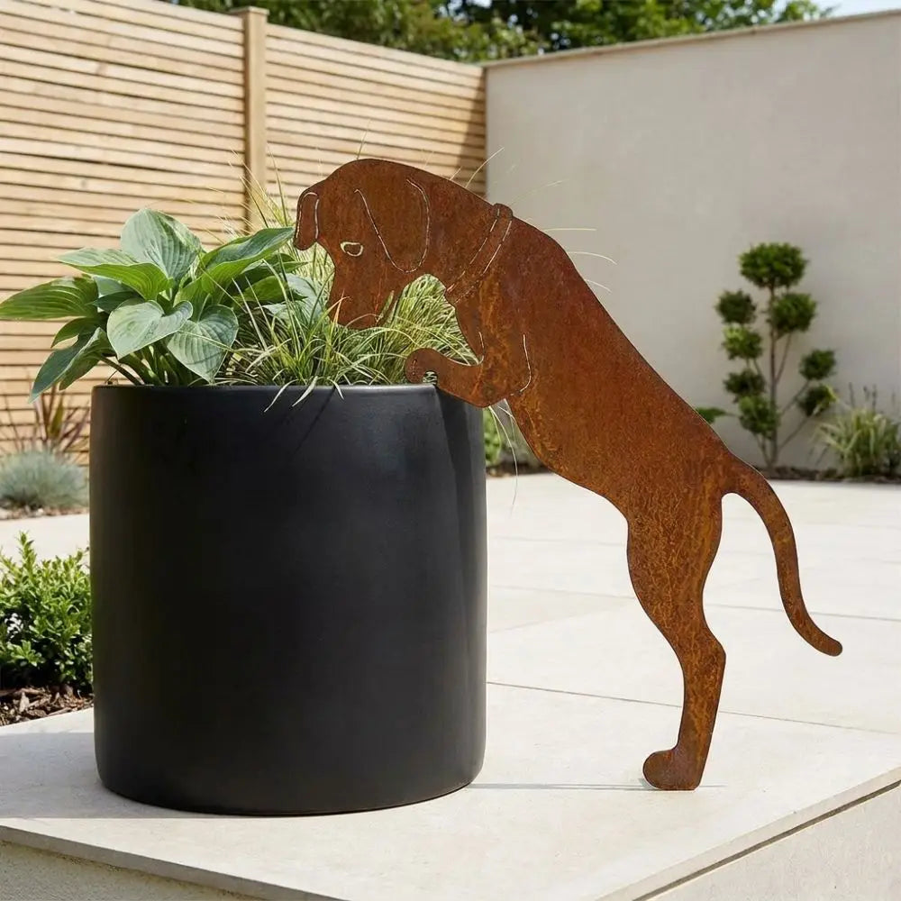 décoration rustique chien métal rouille pot fleurs jardin ornement robusteextérieur