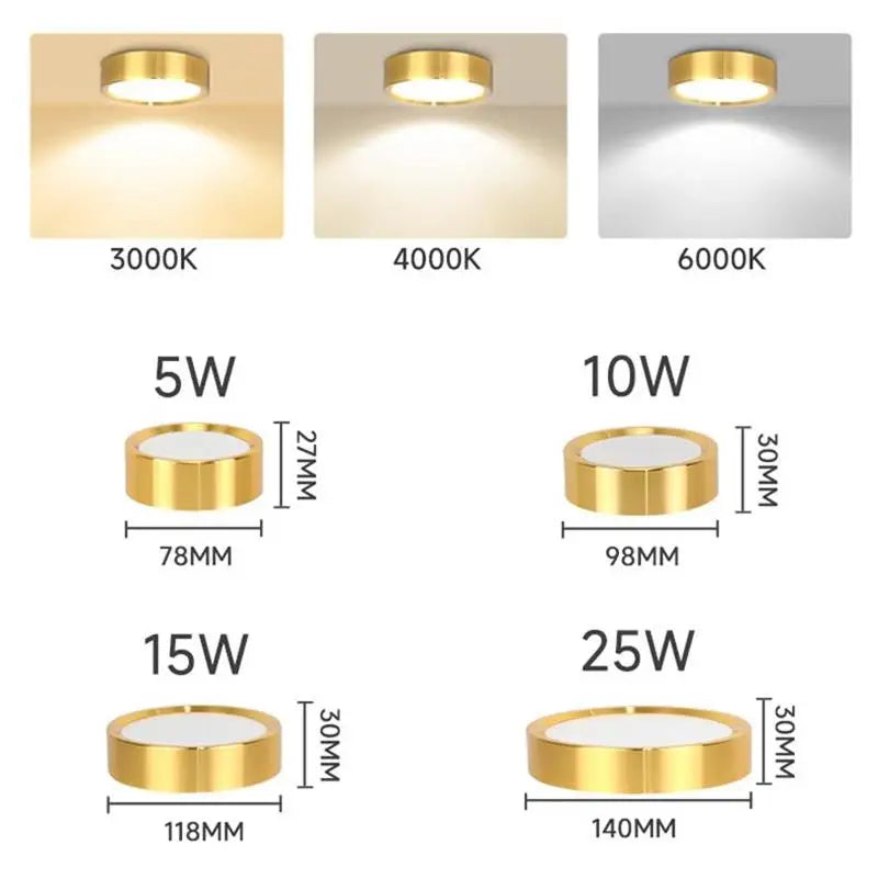 Spot LED Or Moderne Surface Montée Plafonnier 5W 10W 15W 25W Couleurs Changeables