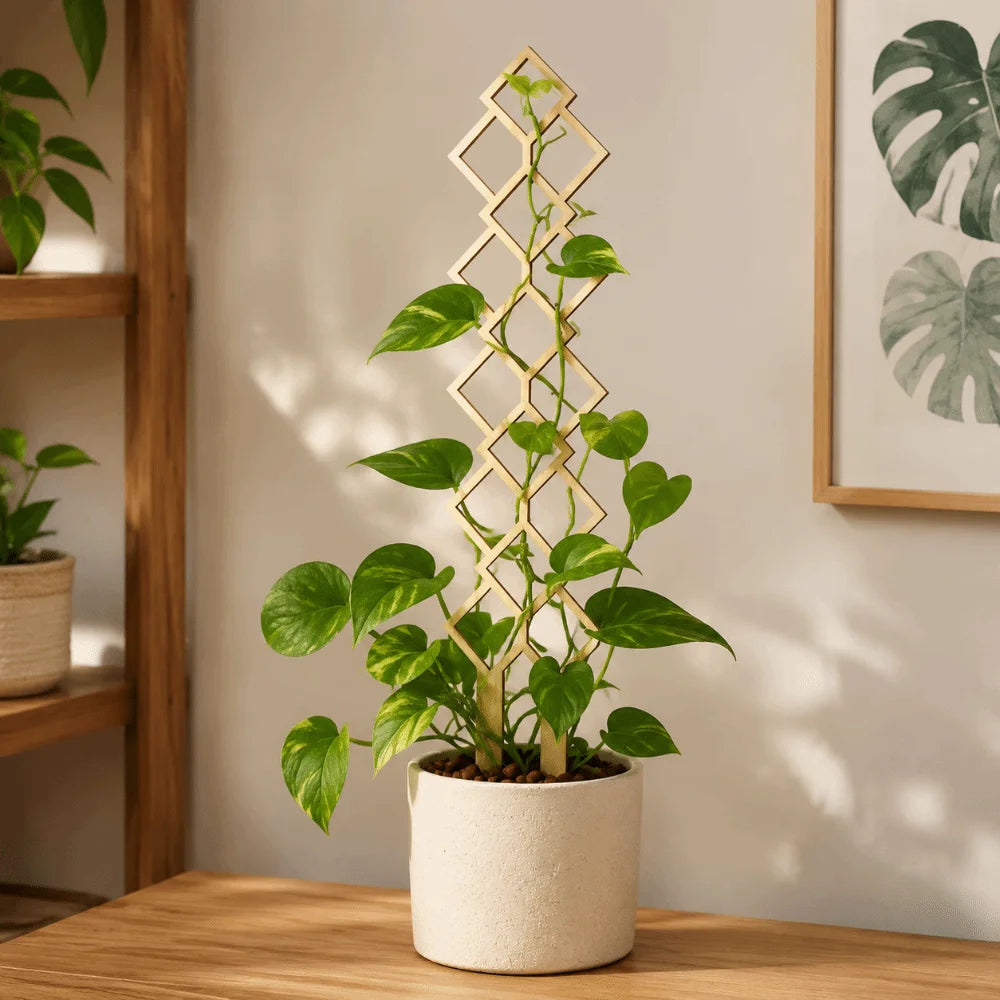 treillis bois moderne géométrique carrés imbriqués opaque beige clair pot fleurs jardin fixe