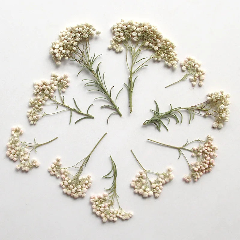 assiette blanche coquillage relief perlée fleurs séchées feuilles vertes décoration intérieure minimaliste naturelle classic