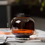 vase verre moderne transparent simple grande bouche table salon fleur hydroponie ornement double usage