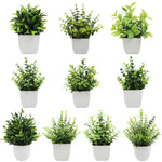 décoration intérieure plante artificielle eucalyptus bonsaï vert feuilles fines moderne sans entretien pot blanc
