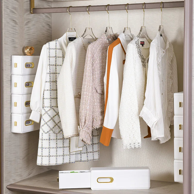 Organisateur d'armoire mural avec étiquettes de classification