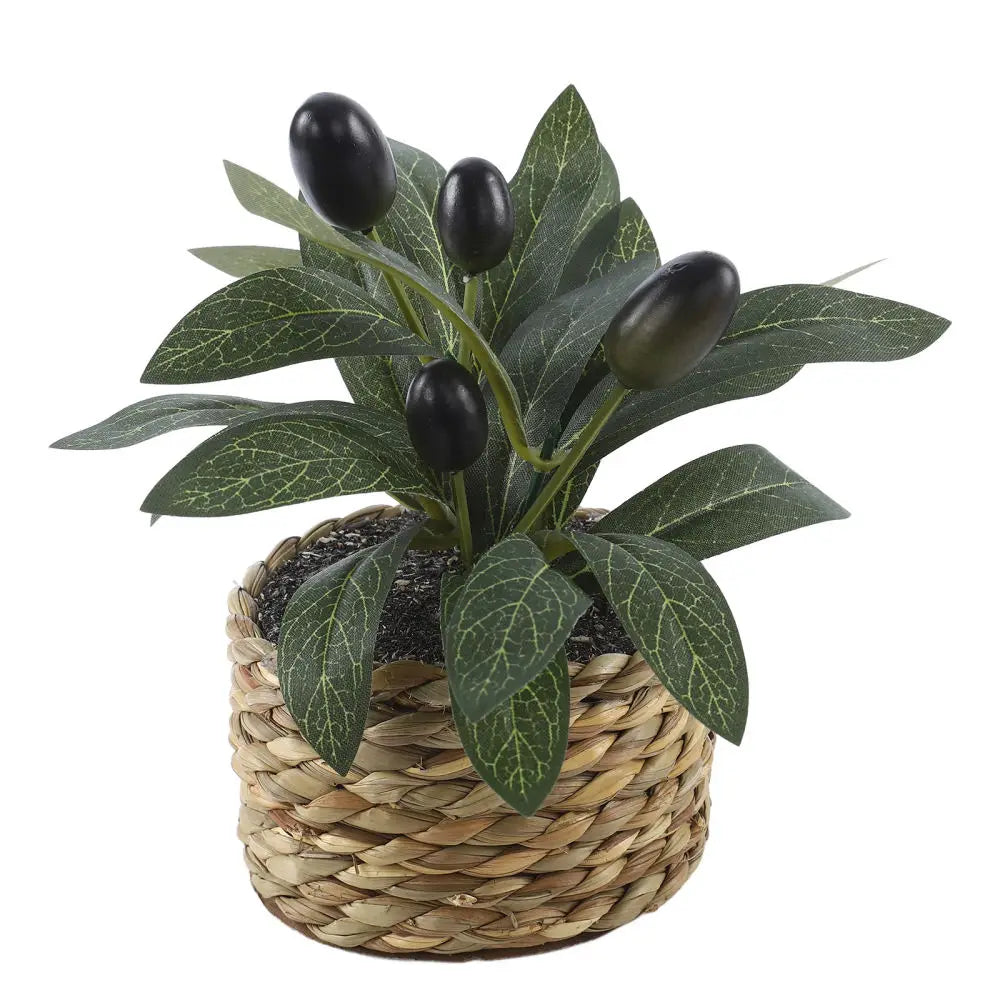 plante artificielle arbre olivier pot vert foncé olives noires décoration intérieure anniversaire chambre table