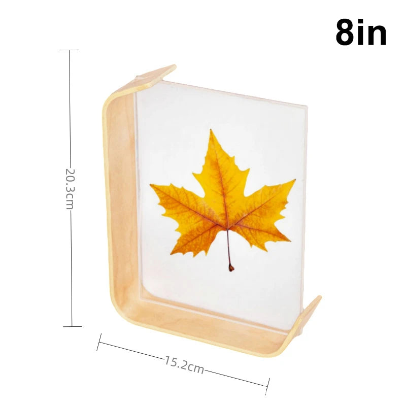 cadre photo acrylique moderne feuilles automne minimaliste or noir rouge jaune