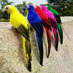 ornement animal perroquet rouge blanc vert jaune bleu rose plumes brillantes pieds extérieur intérieur