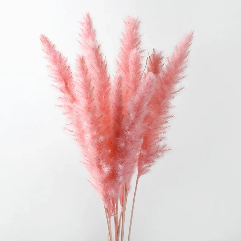 fleurs séchées naturelles rose pâle décoration maison anniversaire mariage rustic