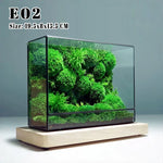terramium verre transparent plante verte moderne naturel branchages terre inclusion