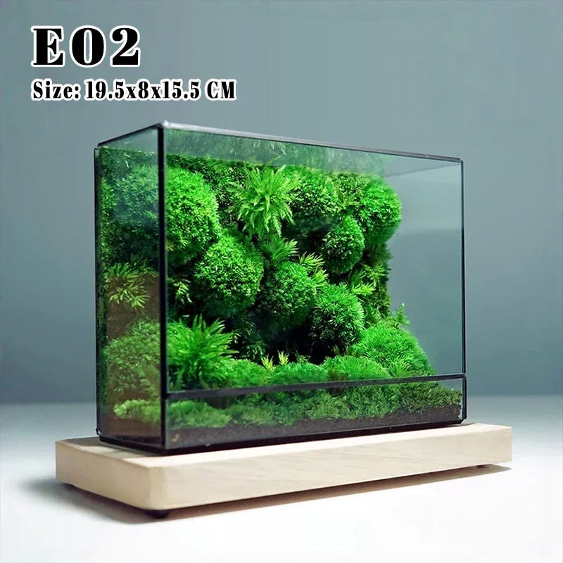 terramium verre transparent plante verte moderne naturel branchages terre inclusion