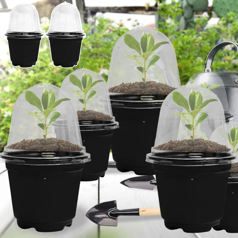 pots semis transparents modernes noir 3.5 inch 12pc jardinage fleurs plantation