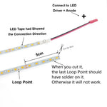 ruban led smd 2835 100 led blanc bleu 4500k 3000k adhésif moderne 220v