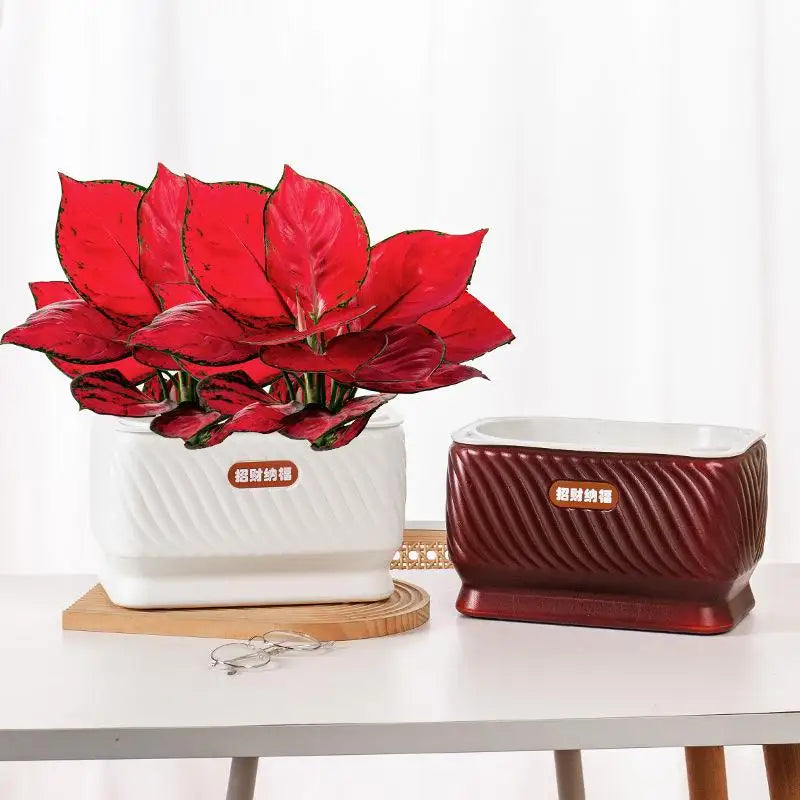 pots fleurs auto arrosants plastique texturé moderne rouge blanc decoration maison plantes jasmin monstera