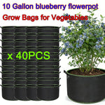 sacs culture légumes fibre végétale noir poignées portables 10 gallons 50 pièces