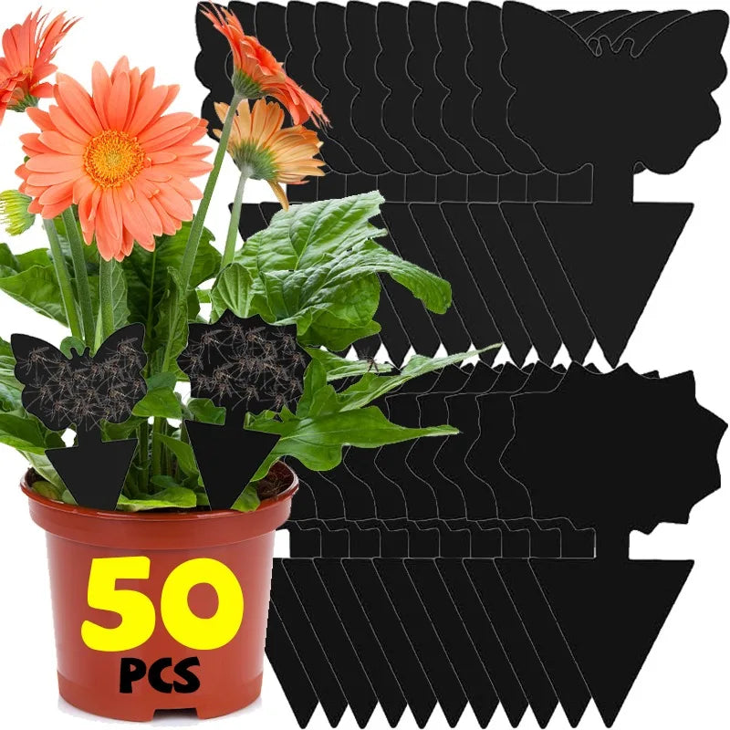 piège mouches feuille noire adhésive externe protection plantes minimalisteextérieur controle insectes 50pcs