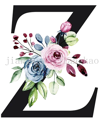 taies d'oreiller lettre stylisée moderne élégantes imprimées fleurs feuillage blanc respectueuses environnement 45cm 45cm