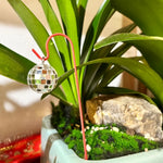 décorations jardin boules disco argentées miroir modernes fixations crochets métalliques brillantes opaques