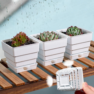Lot de 40 pots plastique noir pour succulentes avec trous de drainage