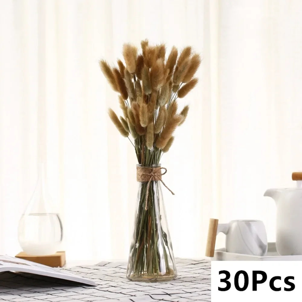 décoration maison plante séchée bouquet pampa séchée naturelle queue lapin boho anniversaire mariage