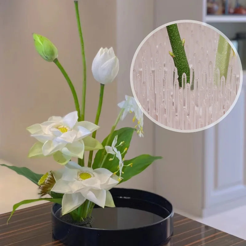 Support fleurs transparent moderne piquets rangés stockage imperméable plastique multiple usage