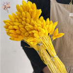 fleurs séchées naturelles bouquet orange jaune décoration maison anniversaire mariage festive bohème
