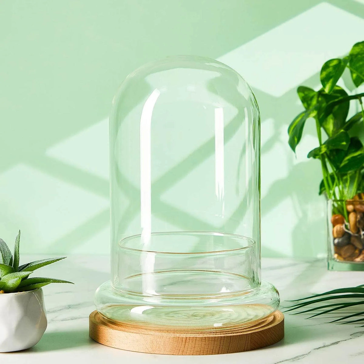 terrarium moderne transparent verre base vase plantes maison cloche