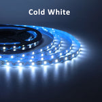 ruban led smd 60 led blanc chaud froid adhésif moderne 12v 50000h 2000 82000lm
