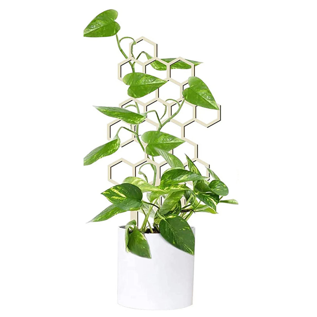 support plantes grimpantes bois hexagonal moderne pot table jardinintérieur decoration