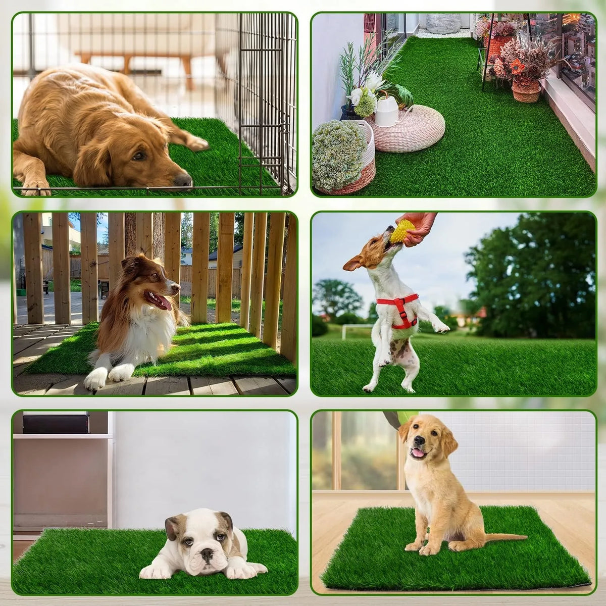tapis imitation herbe antidérapant lavable chiens décoration toilettage écologique dense vert