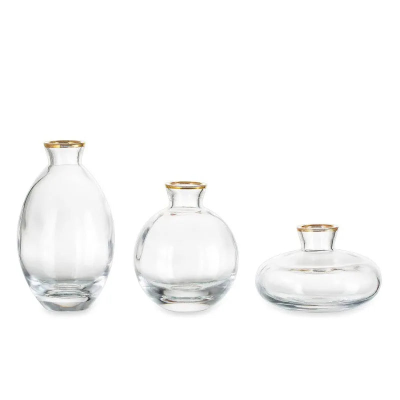 vases transparent modernes verre simple minimalistes bleu vert fleurs plantes