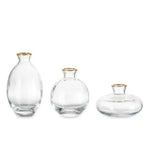 vases transparent modernes verre simple minimalistes bleu vert fleurs plantes