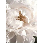 tableaux moderne floral brillants fleurs rose pâle blanc beige salon chambre décoration maison