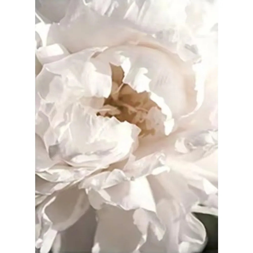 tableaux moderne floral brillants fleurs rose pâle blanc beige salon chambre décoration maison