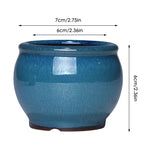 cache pot céramique bleu translucide classique plante verte décoration maison