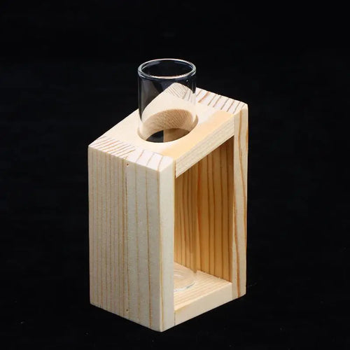 vases transparents verre support bois minimaliste decoration maison plantesPropagation station essai tube