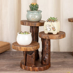 support plantes marron clair bois brut rustique salon trois niveaux sans pliage imperméable