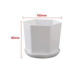 pots fleurs modernes blancs soucoupe plante verte intérieur extérieur hexagon rond polygonaux