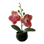 Orchidée artificielle taches violets feuilles vertes pot noir décoration intérieure moderne chambre salon