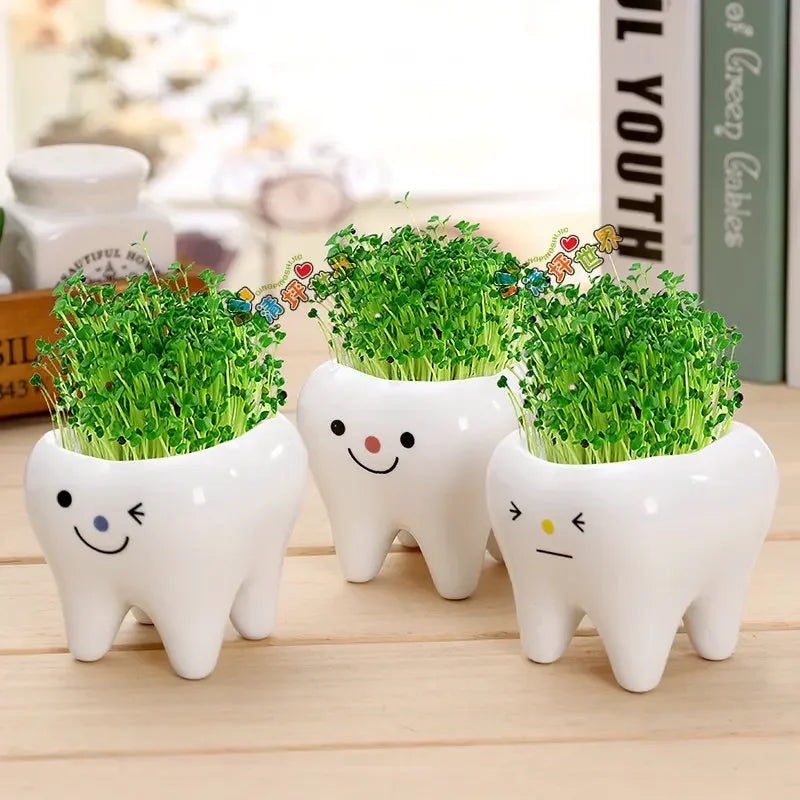 pots céramique porcelaine forme dents plante verte expression faciale decoration mignonne originale