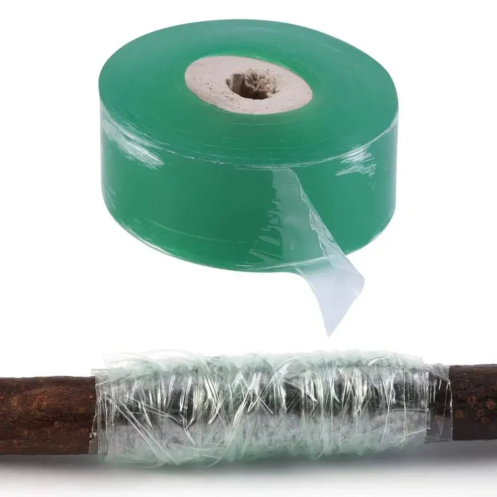 ruban adhésif transparent vert élastique souple auto adhésif support plantes jardin biodegradable
