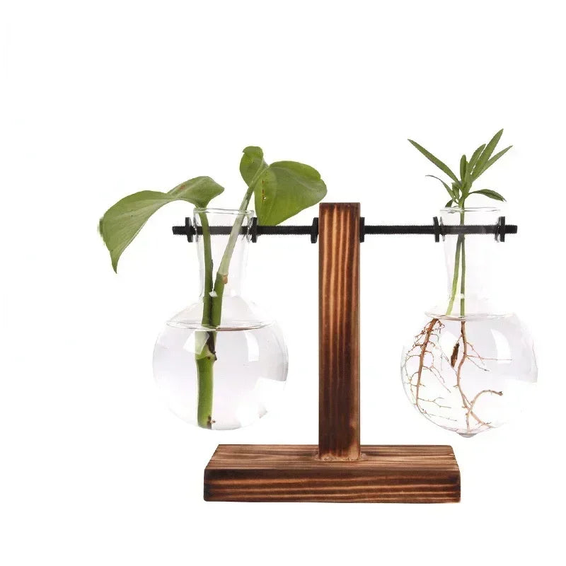 vases verre transparents plantes vertes support bois industriel décoration minimaliste