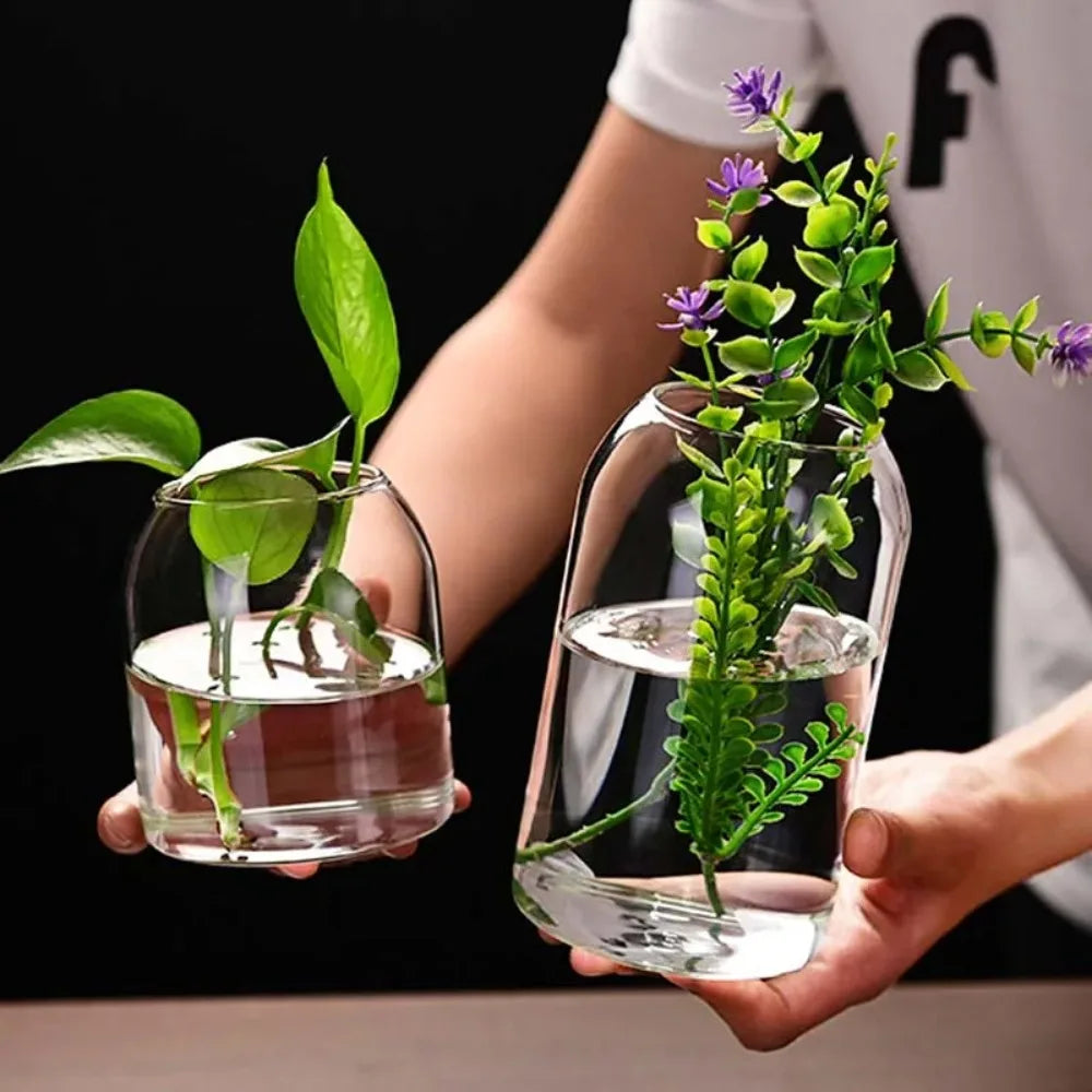 vase verre transparent moderne plante fleur décoration intérieur élégant minimaliste fixations