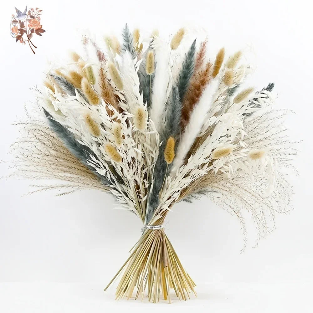 fleurs séchées naturelles bouquet bohème décoration maison blanc beige gris rustique anniversaire mariage