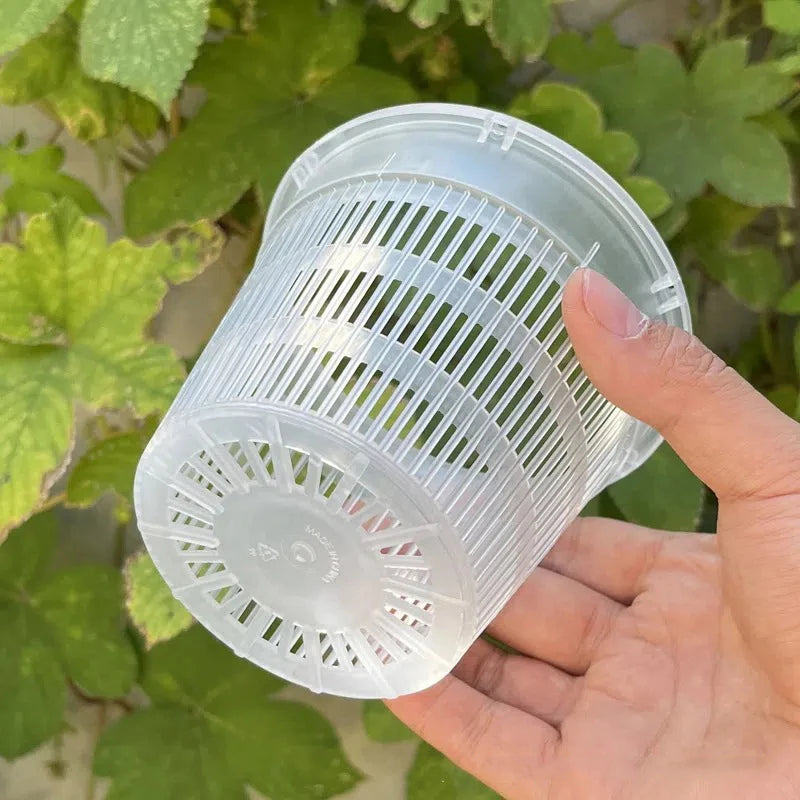 Détail des trous d'aération sur le pot pour orchidée