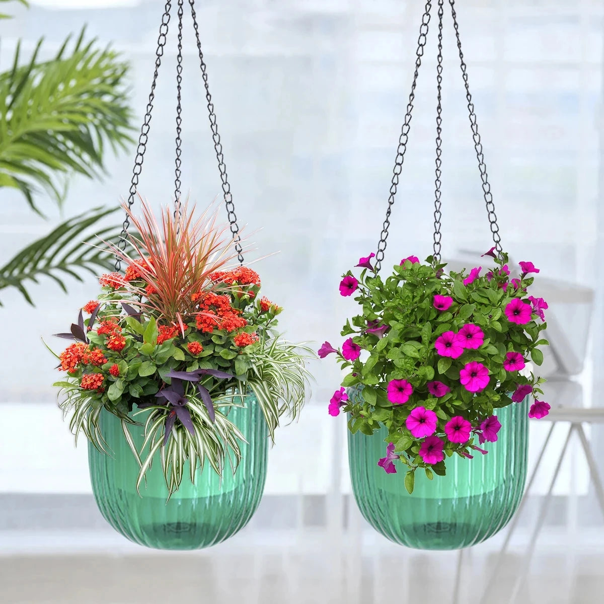 pots fleurs suspendus plastique translucide eau visible moderne minimaliste différentes couleurs plante fleur succulente