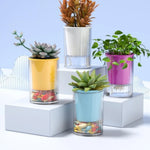 Pot plante moderne transparent jaune vert rose blanc auto arrosage plantes inclusion
